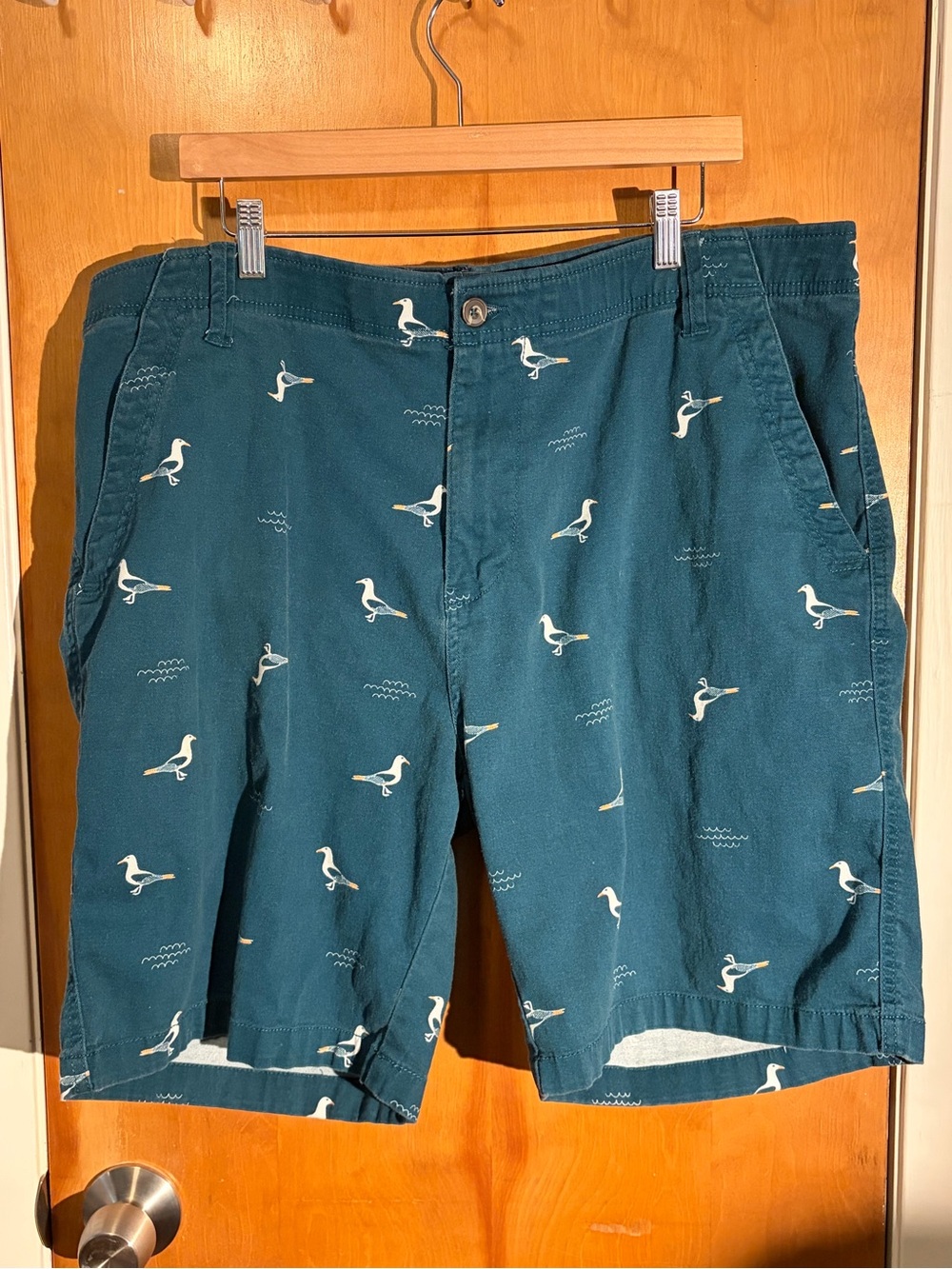 Denali Teal Seagull Bird Print Shorts